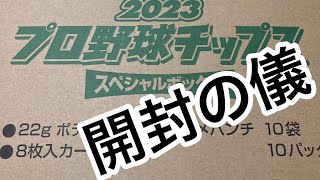 【開封の儀】プロ野球チップス2023第2弾_番外編2