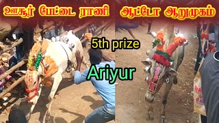 ஊசூர் பேட்டை ராணி vs ஆட்டோ ஆறுமுகம் 5TH prize  Ariyur street.. @TamizhRock