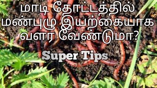 மாடி தோட்டத்தில் மண்புழு இயற்கையாக வளர வேண்டுமா?