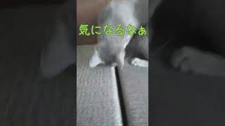 ベットの下から出てきたモノとは❗️衝撃の結末‼️