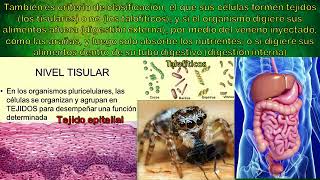 LOS ORGANISMOS - (BIOLOGIA)