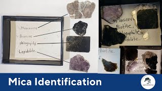 Mica's Varieties in Nature - Biotite, Muscovite, Lepidolite, Phlogopite Mica,  Rock forming Minerals