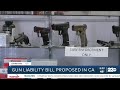 Gun liability bill proposed in CA