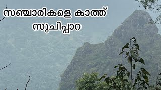 സൂചിപ്പാറ വെള്ളച്ചാട്ടം വയനാട് |Soochipara water falls Wayanad | Most popular attractions in Wayanad