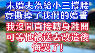 未婚夫為給小三撐腰，竟撕掉了我們的婚書，我沒鬧直接轉身離開，可等他被送去改造後，悔哭了！#情感故事   #為人處世  #老年生活 #心聲新語 #深夜读书 #養老 #幸福人生 #晚年幸福