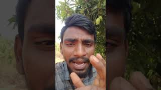 నేను ఇవాళ పనికి వెళ్ళాను ఫ్రెండ్స్ #kastam #srama #funny #comedy #comedyvideo #funnyvideo #mango ###