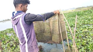 babu Bhai bila mach dhora. বাবু ভাই বিলে মাছ ধরা#2025 #fishing