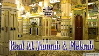 Riad Al Jannah | Riaz Ul Jannah | الروضة الشريفة | Salam to Prophet Muhammad ﷺ | Masjid Al Nabwi