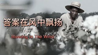 Blowin' In The Wind 答案在风中飘