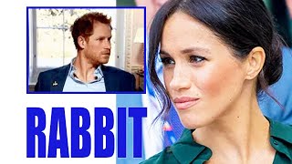MEGHAN SAW RED! Pathetic Haz DESPERATE TO ESCAPE From ‘Rabbit In The Headlights’ Life With Meg.