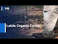 Incubation Procedures to Assess Labile Organic Carbon in soil | Protocol Preview