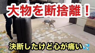 【断捨離】考えた末にソファを手放すことにしました！