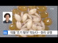 작물 조기 발아 막는다...원리 규명 ytn