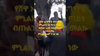 የሸዋ ኦሮሞዎች የዳግማዊ ምኒልክን እና የተጌ ጣይቱ ብጡልን ልደት በዚህ መልኩ አክብረዋል ምኒልክ ዛሬም ንጉስ ነው ❗️