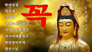 광명의 빛이 들어오고, 만사형통하는 불경 🙏🍄🌼 반야심경,천수경,금강경,관세음보살정근,석가모니불정근,약사여래불정근,화엄경약찬게,영인스님