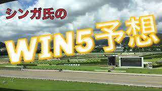 WIN5予想12月7日2024中日新聞杯