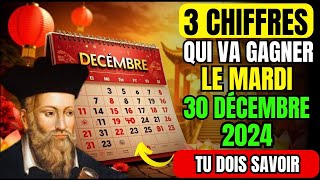 Numéros Chance: 3 NUMÉROS POUR GAGNER LE JACKPOT le mardi 30 Décembre 2024 | Nostradamus