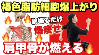 【たった3分】腕振るだけ！肩甲骨燃やしで-10キロ！