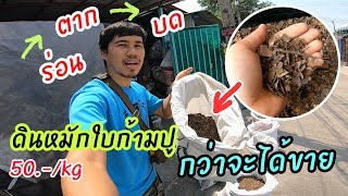 ดินหมักใบก้ามปู  กว่าจะได้ขาย ทำไมแพงจัง ?  ลดได้มั้ย ?  ร่อนเองมั้ยครับ ^_^