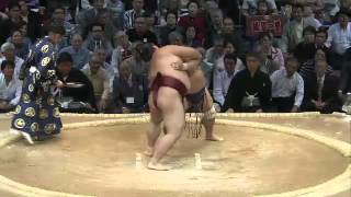 稀勢の里vs妙義龍 2013/11/10