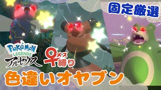 ドッキドキの固定オヤブン厳選！紅蓮の湿地５０周で色違い何匹ゲットできるかな！？【メス縛り】【ポケモン色厳選】【レジェアル】