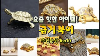 요즘 핫한 아이템! 금거북이 정리해 봤어요! 추천순위 TOP10