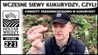 WCZESNE SIEWY KUKURYDZY, CZYLI CHWASTY PRZEDWSCHODOWO W KUKURYDZY. | ODCINEK 221