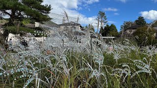 箱根ガラスの森美術館 2024秋