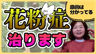 【花粉症 治し方 原因】まだ間に合う！花粉症を根本的に治す方法！なぜ花粉症になる？花粉を悪者にしないで！