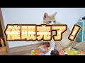 【無理】催眠術を使えば猫も苦手な食べ物を克服できるのでは？？？？