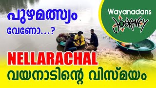 NELLARACHAL FISHING