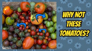 My Tomato Picks for 2023