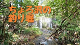 【渓流ルアー】ここは堰堤ですか？いいえ釣り堀です