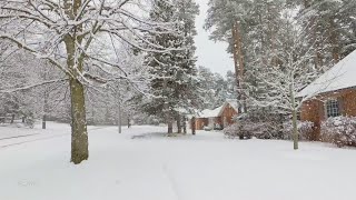 Winter Snow Walk in Countryside during Snowfall in Toronto area - Winter Ambient Sounds