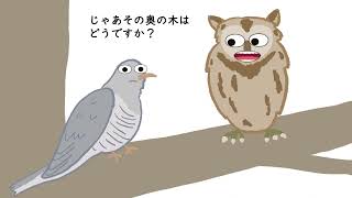 【アニメ】托卵しようとするカッコウ【ゆるアニメ】