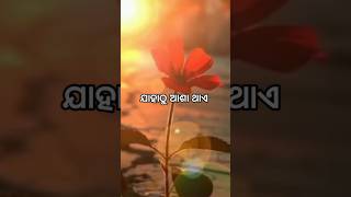 ଯାହାଠୁ ଆଶା ଥାଏ, ଯଦି ସେ କଷ୍ଟ ଦିଏ 😐 / Heart touching odia love shayri /Sad Status 😢