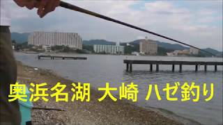 釣り場ポイント ハゼ2 奥浜名湖 大崎