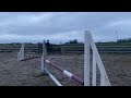 buck 2014 128 cms dun gelding connemara cross