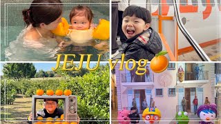 [제주도3박4일] 13개월아기의 첫 제주도🍊 / 감귤따기 / 제주맛집뿌시기 / 뽀로로테마파크 / 24개월미만 공항프리패스 / 해비치호텔 / 파르나스제주 / 포도호텔우동🍇 /