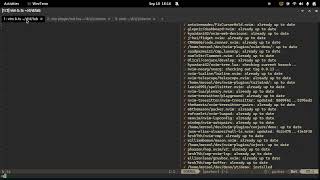 How to write neovim lua plugins (basic guide)