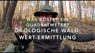 Was ist ein Stück Wald Wert? Kauf- und Verkaufspreis abschätzen.