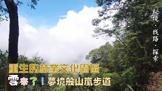 【秘境．找路．探索】避開暑氣，從東勢到大雪山山麓~漫步在中海拔山嵐瀰漫的橫嶺山自然步道與山腳下的東勢林業文化園區#橫嶺山步道#大雪山#東勢林業文化園區NO.2020.26