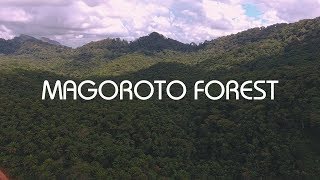 ARRIVING TO MAGOROTO FOREST - HIDDEN GEM IN TANZANIA