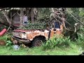 maui abandoned 1980 ford courier