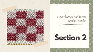 Herringbone Crochet Gingham Stitch - Strawberries and Cream Blanket