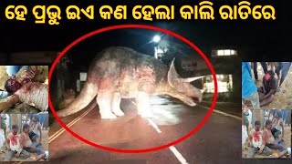 କାଲି ରାତିରେ କିଛି ଏପରି ଘଟିଲା|Sata bhuta ghatana |Odia horror story |Odia bhuta gapa|bhuta |story|