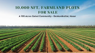 10,000 Sq Ft - Farmland Plots for Sale in 100 acres Gated Community Near Denkanikottai, Hosur