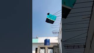 Kite looting to another rooftop 😱।। #shorts #kitelooting #kite #patang #patangwala #kitefestival