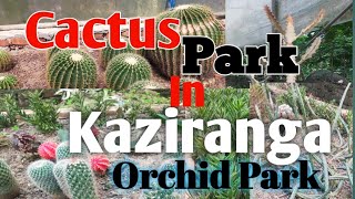 Cactus Park ll Kaziranga National Orchid and Biodiversity park .