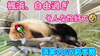 【楓浜、なんて格好で笹🍡】GW前半戦の浜家